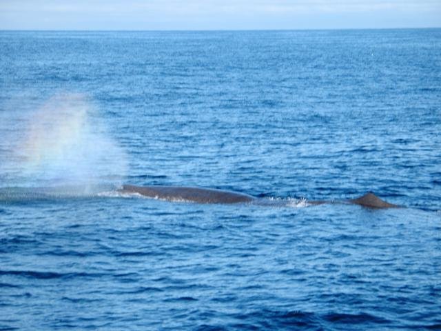 Urlaub in Norwegen 2006